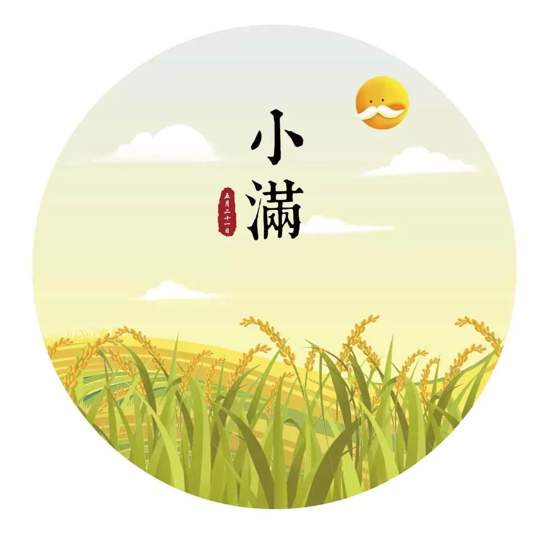 小滿(圖1) 小滿(圖1)