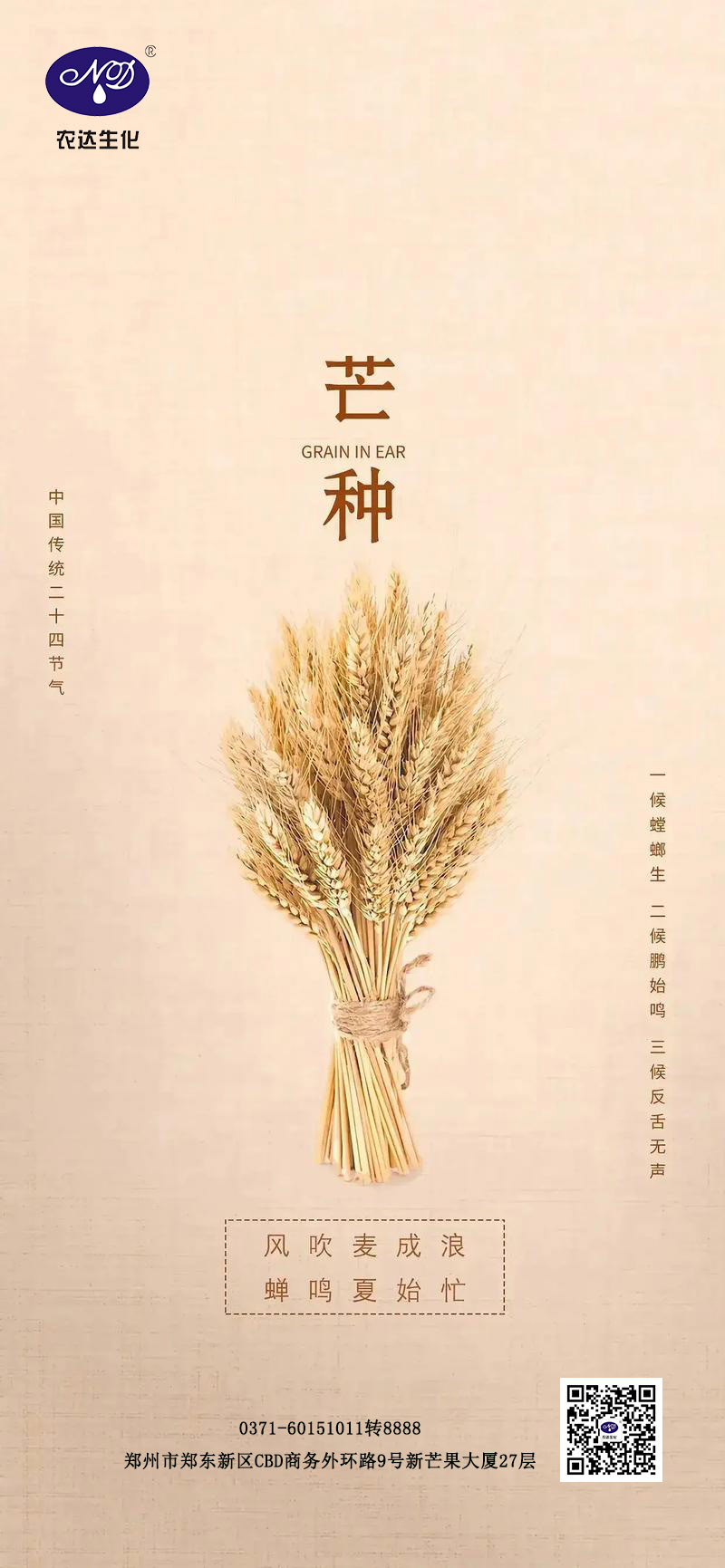 芒種節氣(圖1)