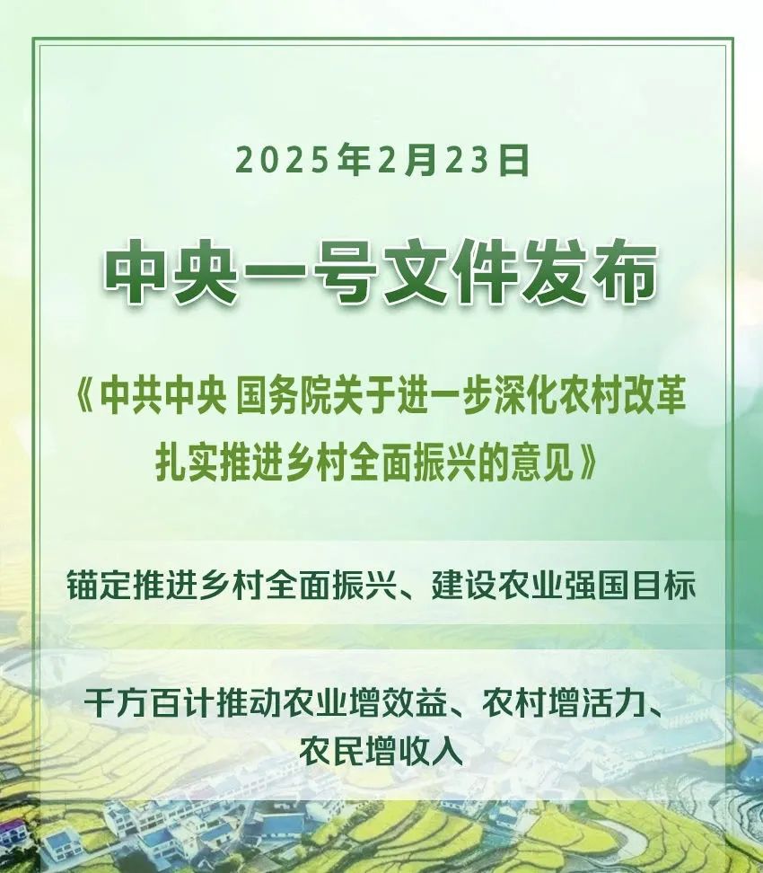 2025年中央一号文件(全文)(图1) 2025年中央一号文件(全(quán)文)(图1)