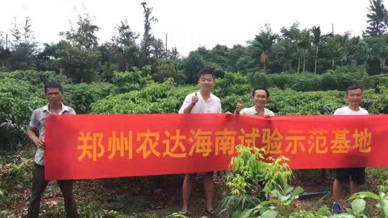 鄭州麻豆精品生化高山青海南VIP客戶答謝會(圖3)