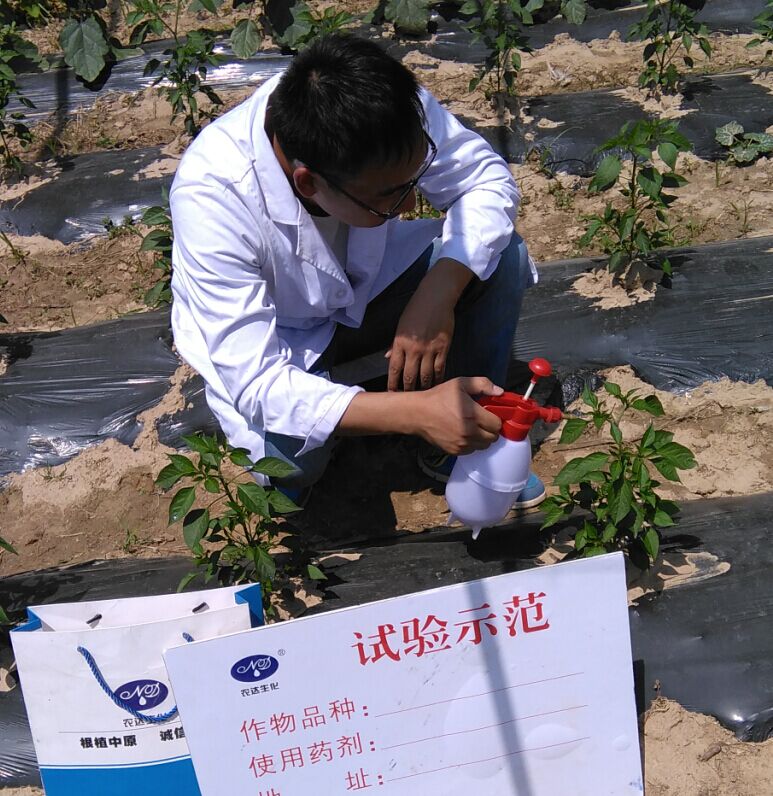 4%赤黴酸乳油在辣椒上的藥效試驗(圖1)