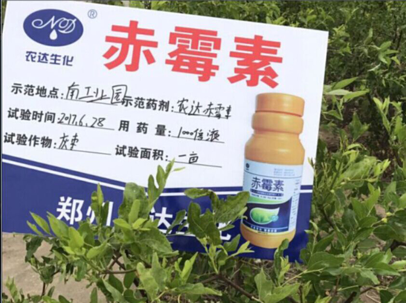 麻豆精品赤黴素在灰（huī）棗上的坐（zuò）果試驗(圖2)