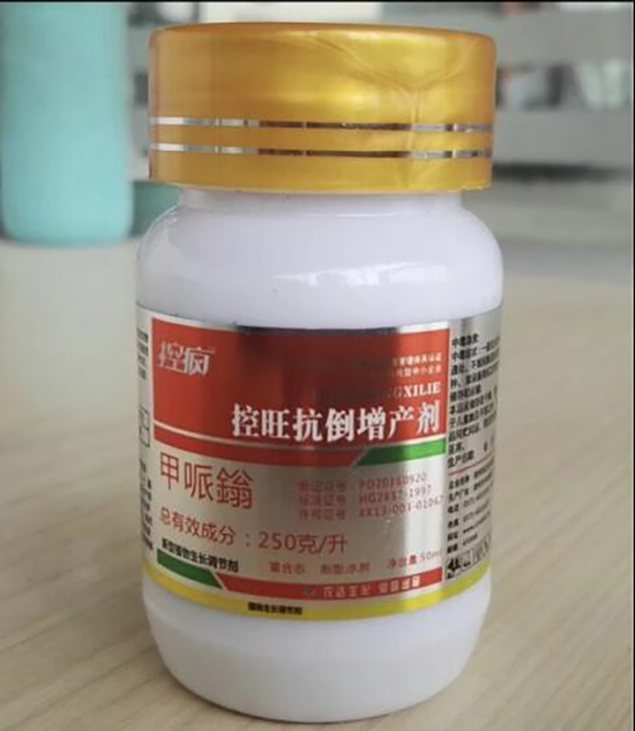 淺談控瘋在棉花上的表現及（jí）棉花化控技術要點(圖4)