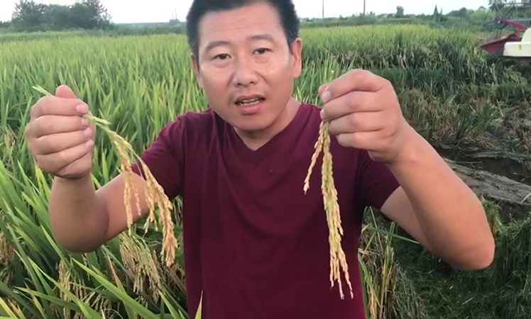 麻豆精品黃（huáng）金搭檔（dàng）“控瘋+優奶特”啟動會順利召開(圖5)