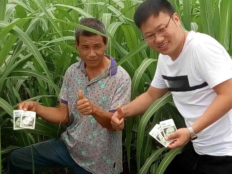 翁源地天泰（tài）農資“麻豆精品20%赤黴酸（suān）可溶性粉劑（jì）”上市會(圖3)
