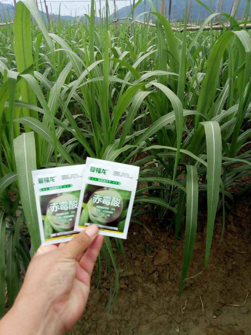 翁源地天泰（tài）農資“麻豆精品20%赤黴酸可溶性粉劑”上（shàng）市（shì）會(圖4)