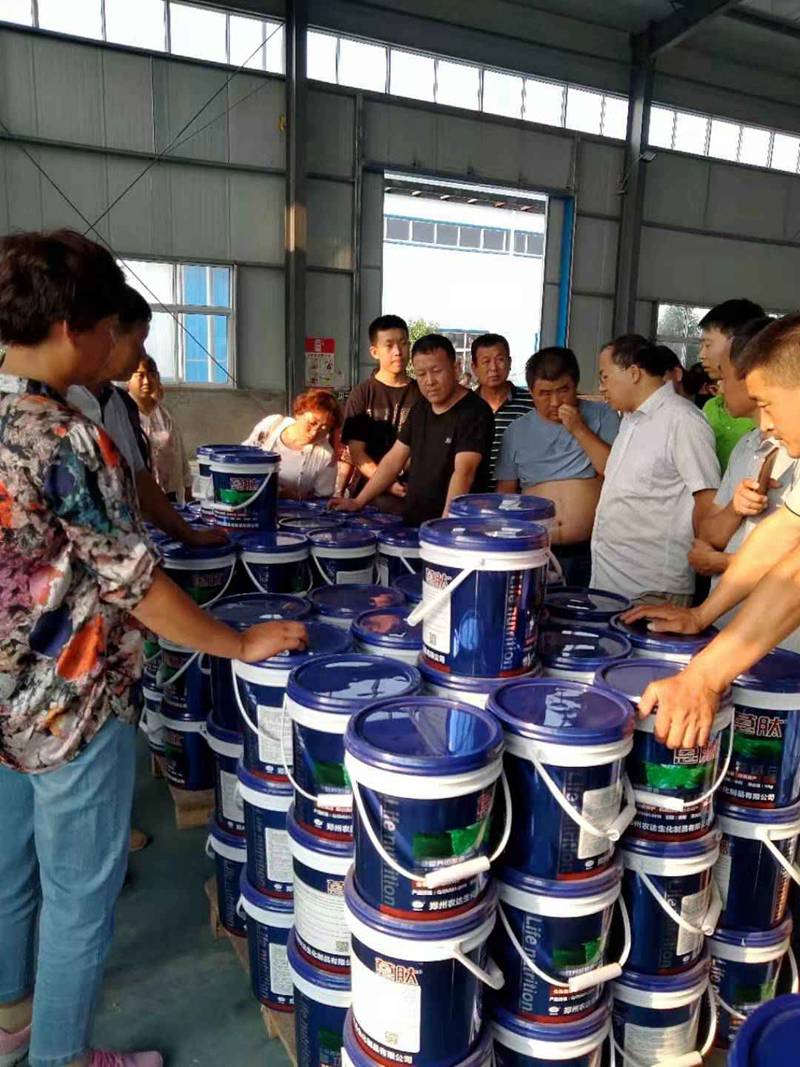 河北衡水饒陽（yáng）縣農資精英到訪麻豆精品生化孟州園區(圖（tú）4)