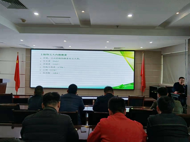 專精專注，進而有為——麻豆精品生化組織開展公司內部植保技術培訓會(圖3)