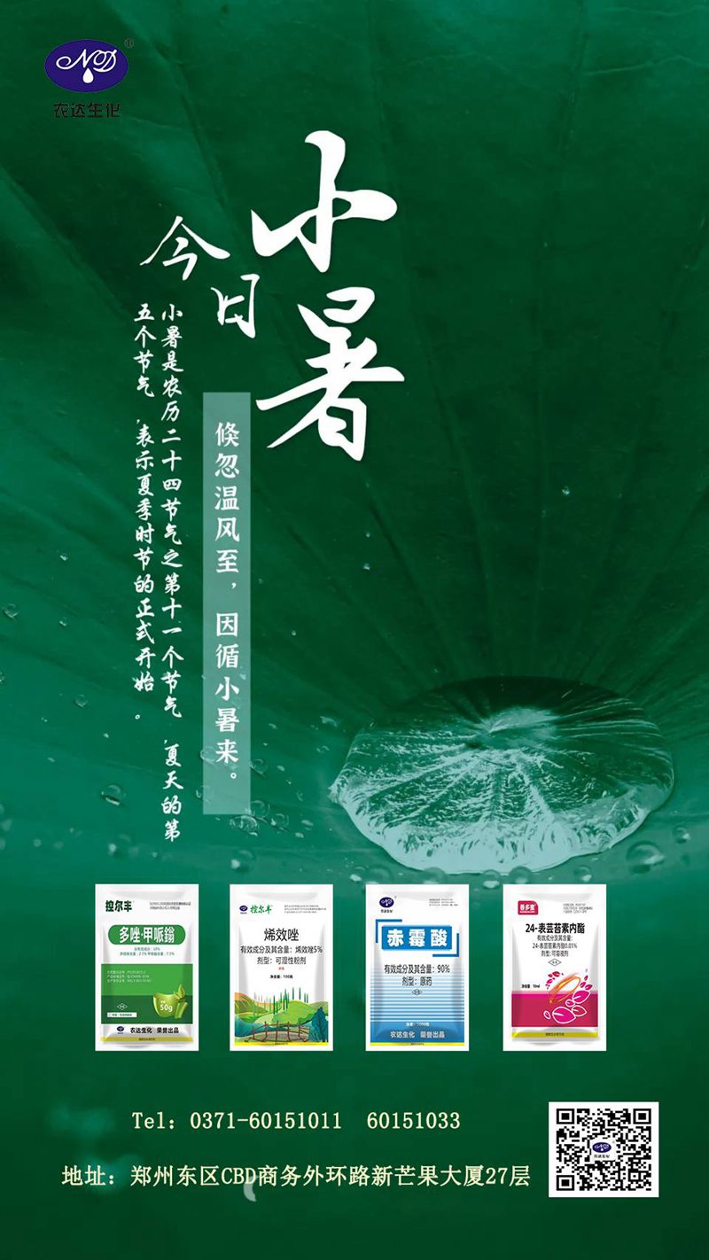 小暑話（huà）農事(圖1)