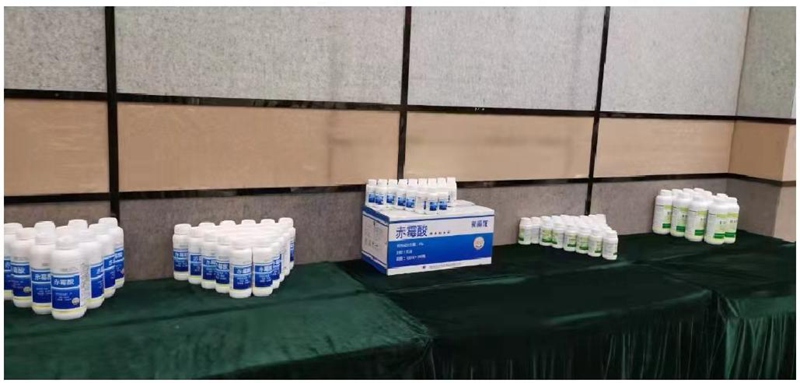鄭州麻豆精品生化桂林市場啟動（dòng）會圓滿召（zhào）開(圖3)
