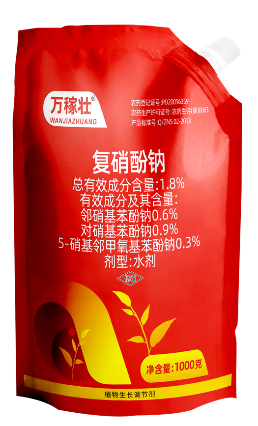 麻豆精品萬稼壯在水稻返青上的效果(圖1)