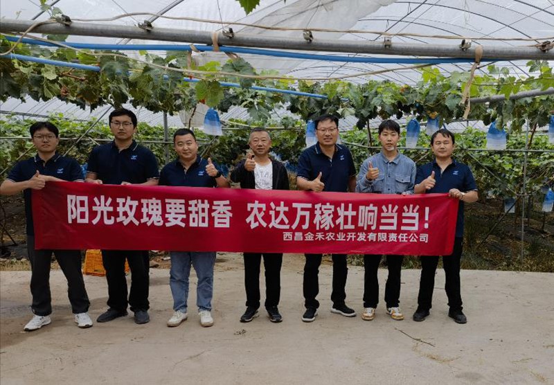麻豆精品製（zhì）劑部西昌宣傳拉練（liàn）圓滿成功(圖（tú）1)