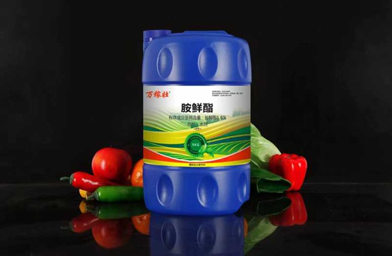 麻豆精品製劑部西昌宣傳拉（lā）練圓滿成功(圖2)