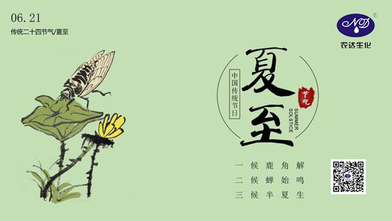 今日夏至(圖（tú）2)