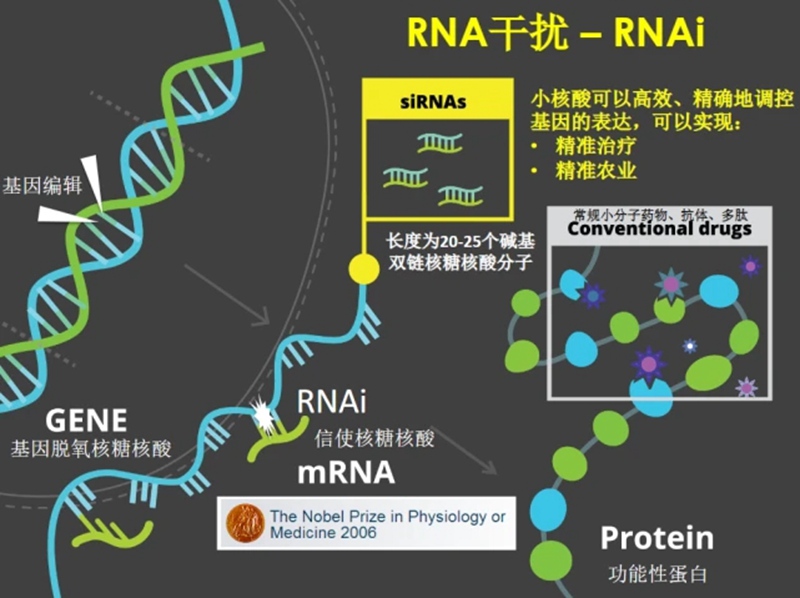 RNA生物農（nóng）藥商業化及發展趨勢(圖1)