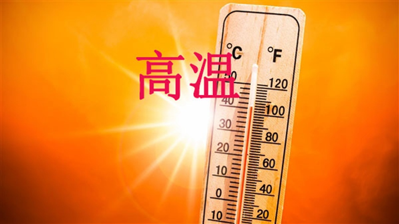 高温天,使用(yòng)农药注意事项(图1) 高温天,使用农药注意事项(图1)