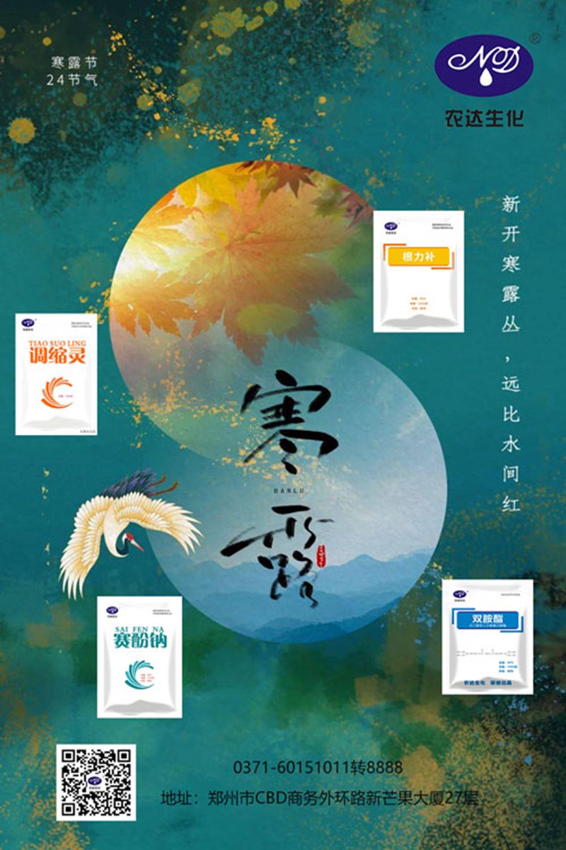 今日寒露(圖（tú）1)
