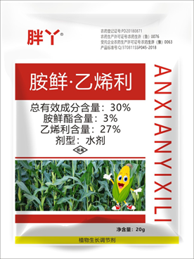胖（pàng）丫  30%胺（àn）鮮（xiān）·乙烯利(圖1)