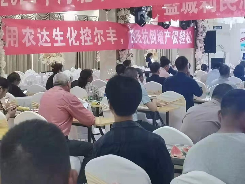 2021麻豆精品控爾豐--泗（sì）洪啟動會順利召開(圖1)