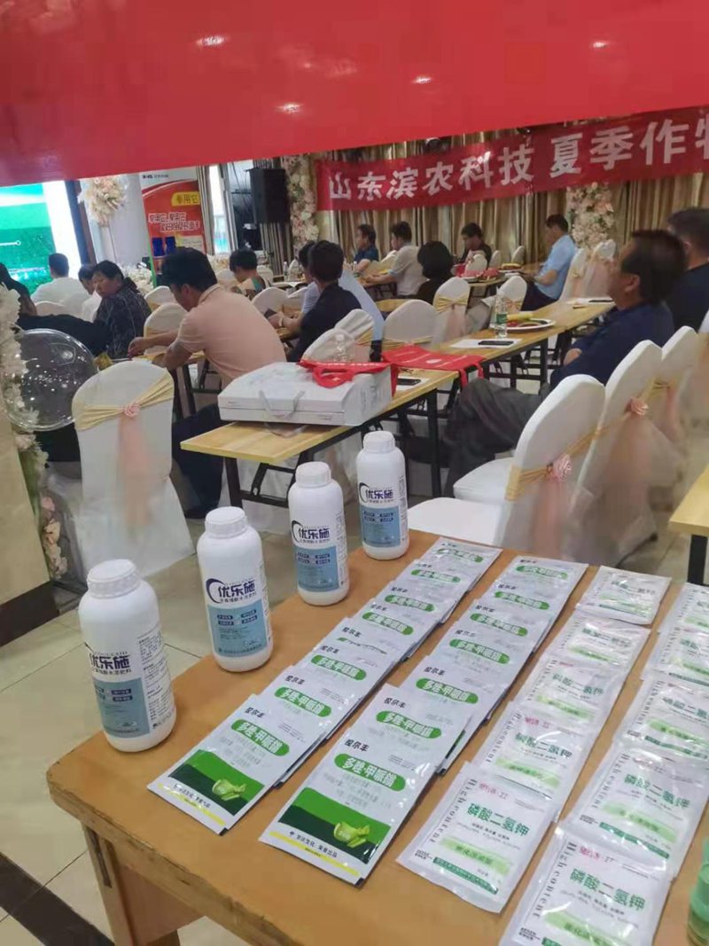 2021麻豆精品控爾豐--泗洪啟動會順利召開(圖3)