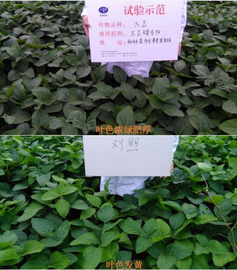 換（huàn）個思路賣農資，效果也（yě）不差！(圖1)